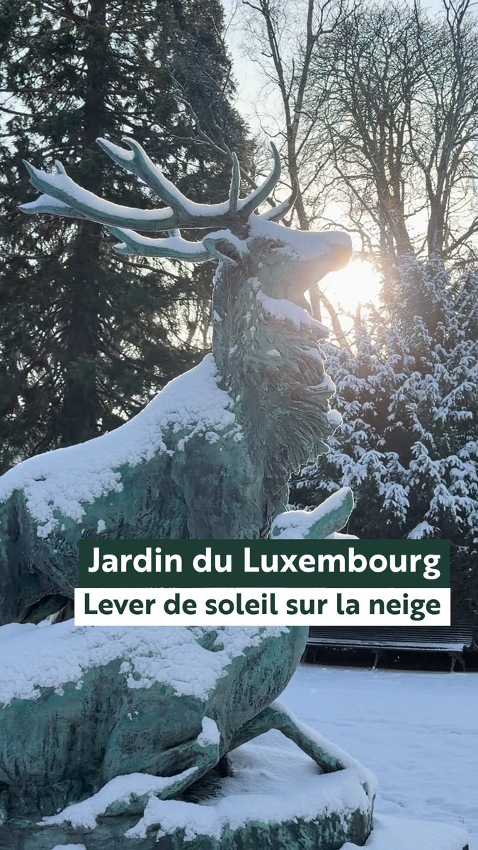 ❄️ Quelques images des matins enneigés de cette semaine ☃️