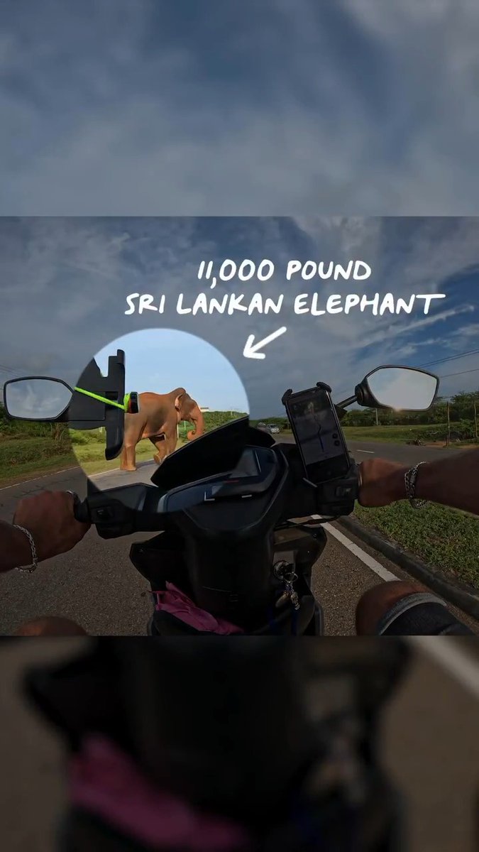 That's how you run for your life