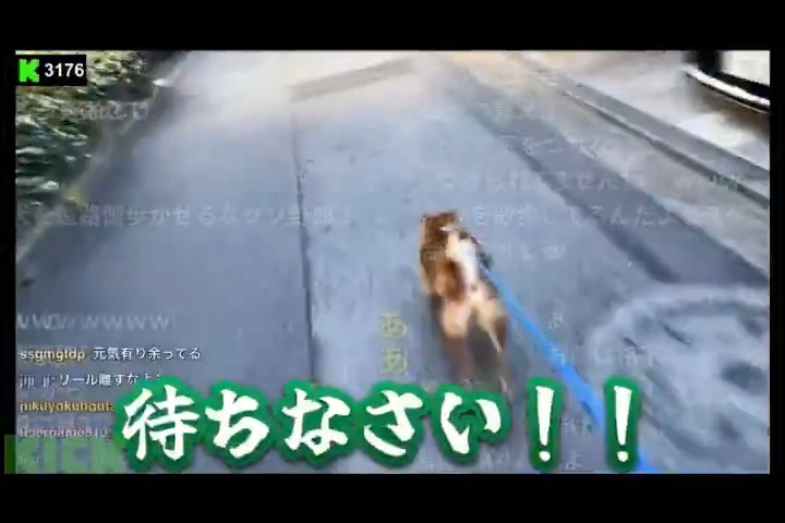 現在勾留中の立花孝志氏の愛犬サスケと散歩する、元立川市議久保田学こと、横山緑氏。 突然走り出すサスケに焦って必死に制止しようとする横山緑氏。 必死な声が面白すぎてコメントが草だらけになってしまう。 緑氏「サスケ!待ちなさい!!待ちなさいってば!」