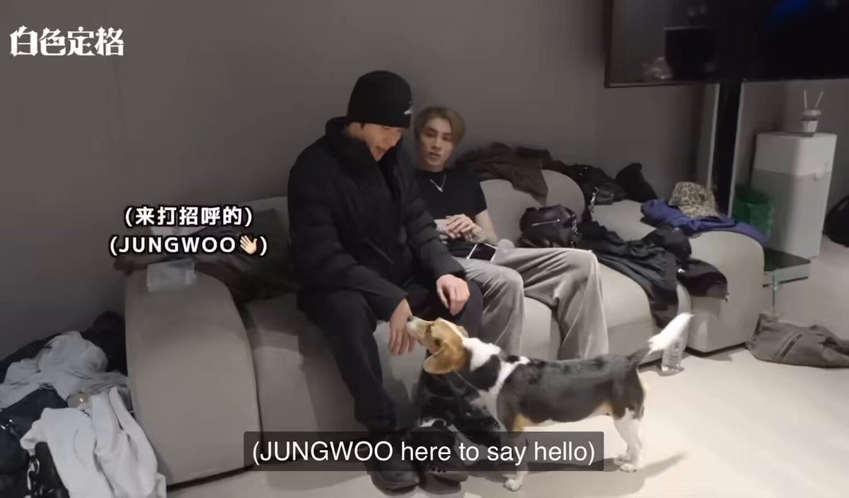 #정우 #JUNGWOO with Bella 🐶
