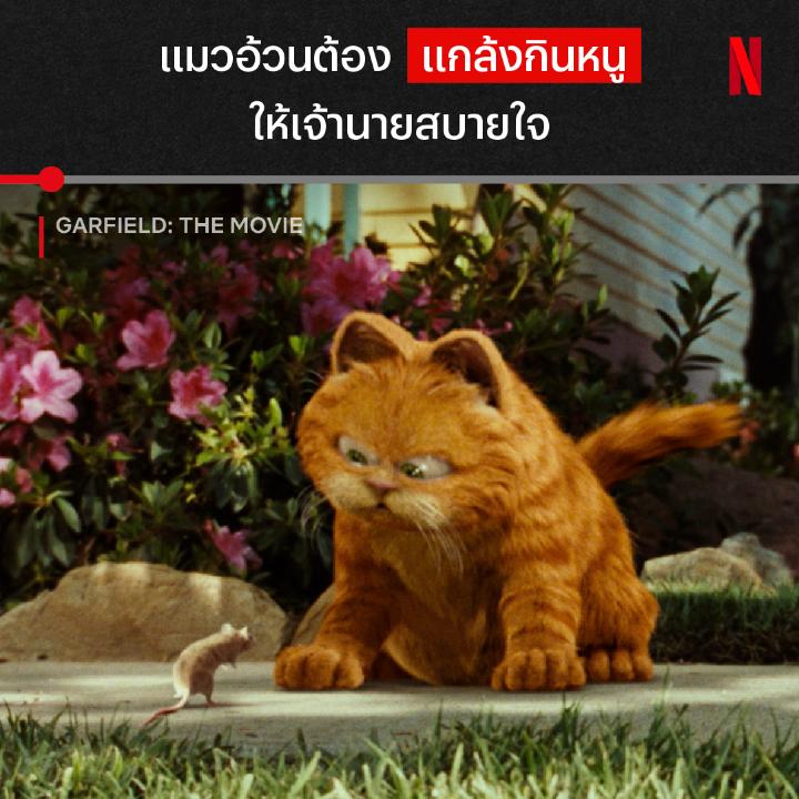 แมวบางตัว เกิดมาเพื่อกินลาซานญ่า ไม่ได้เกิดมาเพื่อกินหนู 😼 เจ้าแมวส้มในตำนานมาเยือน Netflix แล้วน้า จะวุ่นวายขนาดไหน ไปผจญภัยพร้อมการ์ฟิลด์ใน #GarfieldTheMovie ที่ Netflix กันครับ #NetflixTH