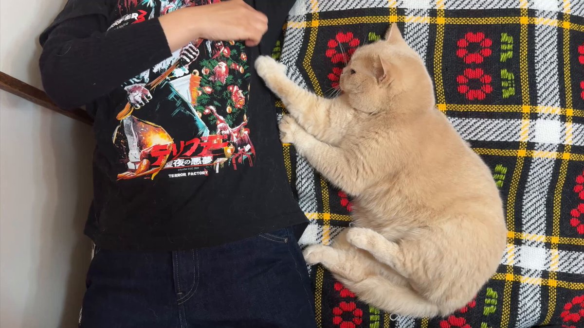 母が出かけようとすると必死で甘えて阻止しようとする猫