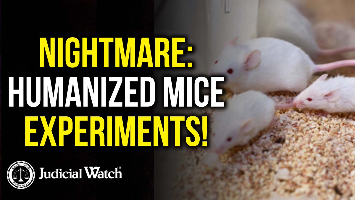 HORROR: Unborn Baby Body Parts Experiments