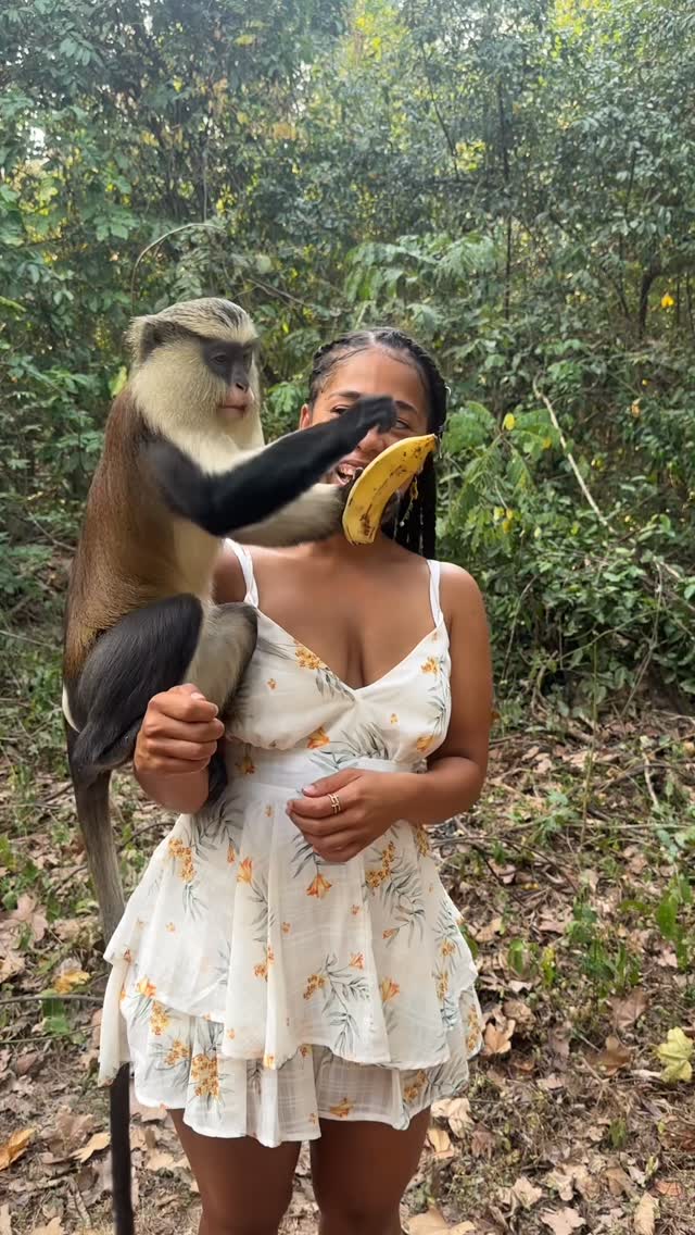 What a beautiful animal