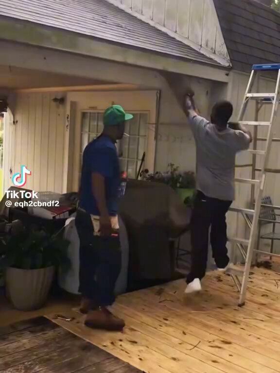 Idiots taking down wasp nests!