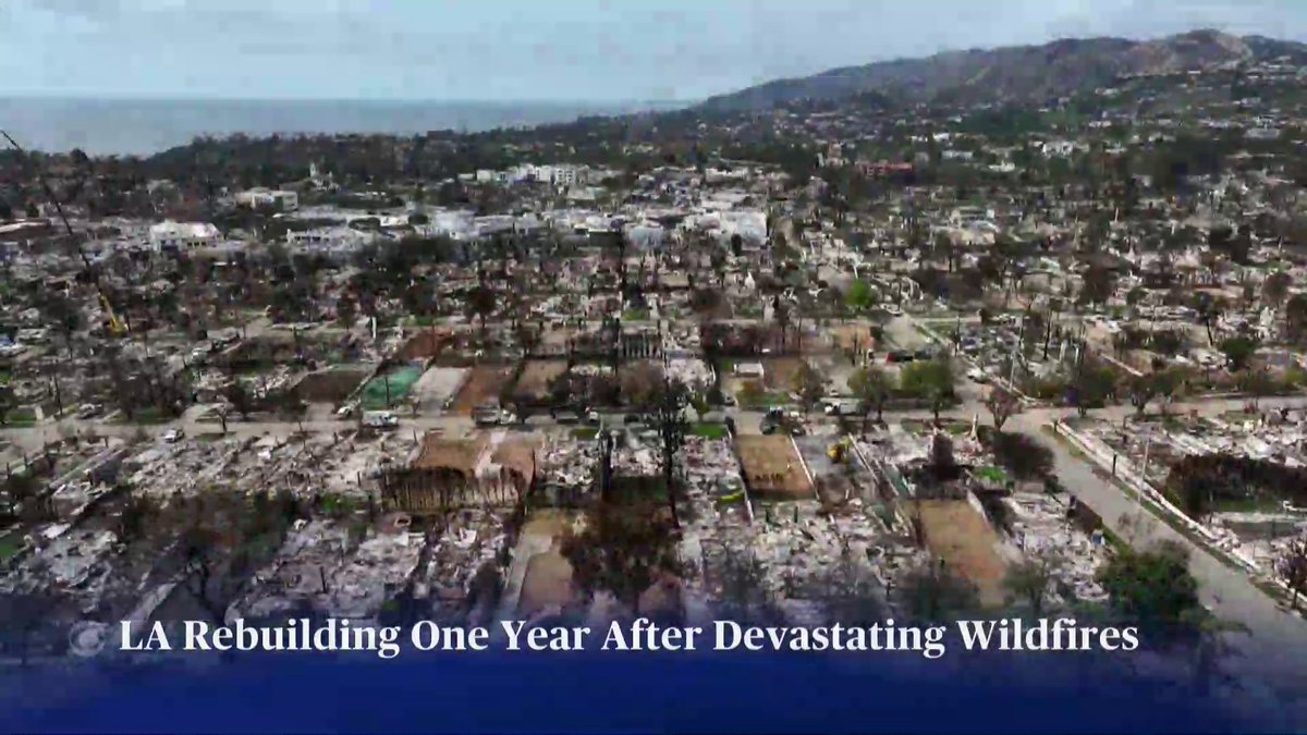 This week marks one year since wildfires erupted across the Los Angeles region. At least 31 people were killed, and thousands of homes and businesses were destroyed. Most have not been rebuilt.