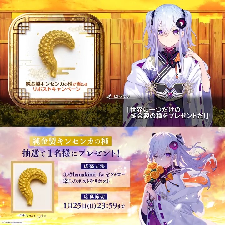 ✨金の種リポストキャンペーン✨ フォロー&amp;リポストで抽選で1名様に純金製キンセンカの種が当たる🎁 1月25日(日)〆切📅 参加方法 1.『花束を君に贈ろう-Kinsenka-』公式 をフォロー🏵️ 2.この投稿をリポスト🔃 で応募完了👍 4月30日(木)にパッケージ版発売！ #Kinsenka