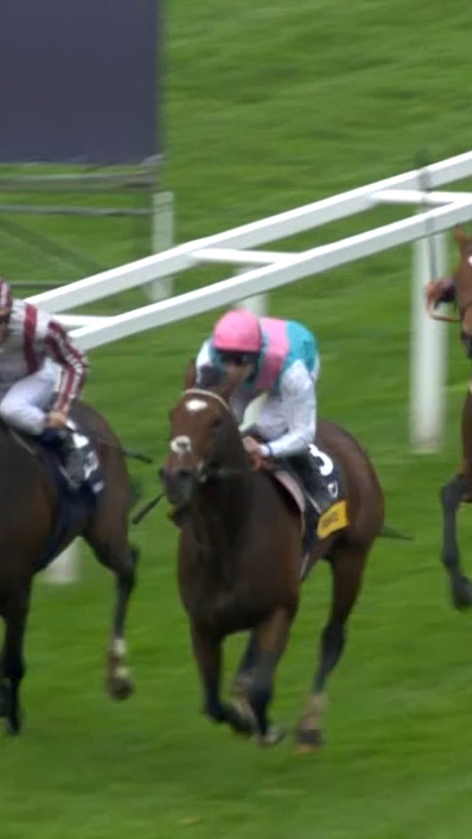 Remembering the late Sir Henry Cecil, born on this day in 1943. The master trainer of the unbeaten Frankel - shown here in his unforgettable final race on QIPCO British Champions Day 2012 Juddmonte | Tom Queally
