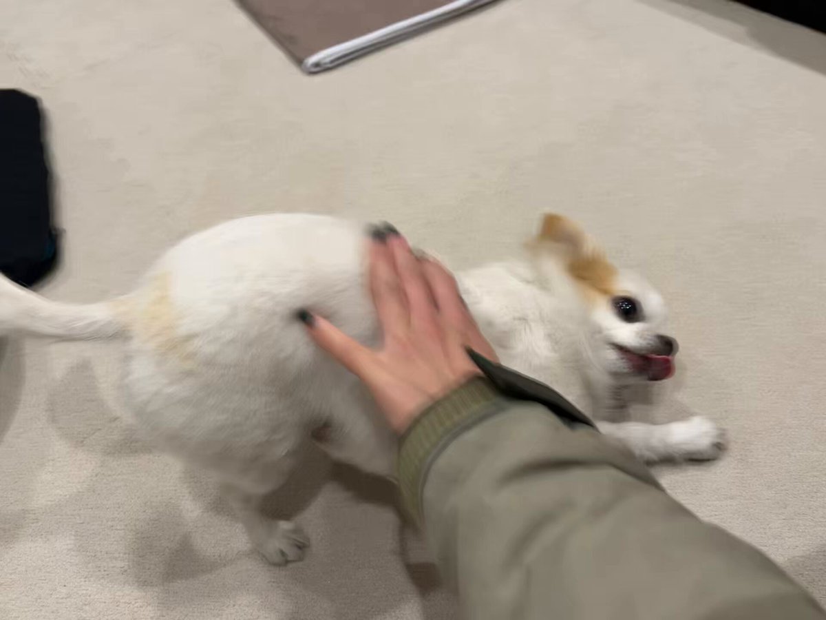けつけつけつけつけつけつ