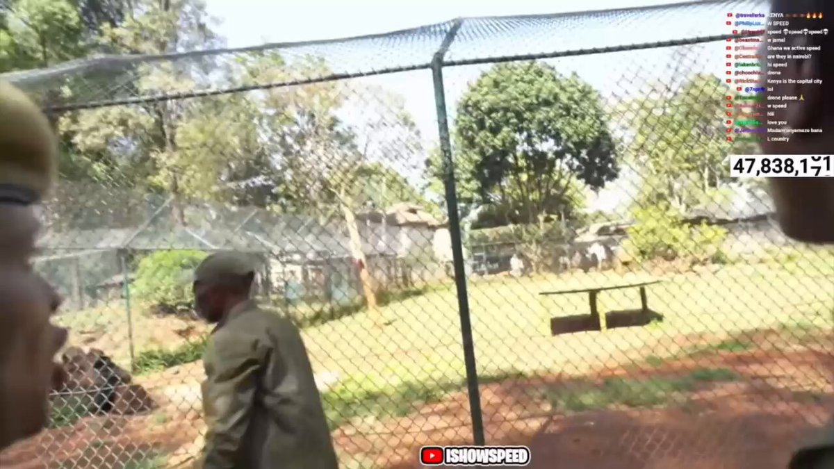 🚨| WATCH: Speed fed a LION live on stream and couldn’t believe how hungry it was as it went after the zookeeper 💀😭😭 Speed alimlisha SIMBA moja kwa moja kwenye stream na akashangaa jinsi alikuwa na njaa sana hadi kumvamia mlezi wake 💀😭😭