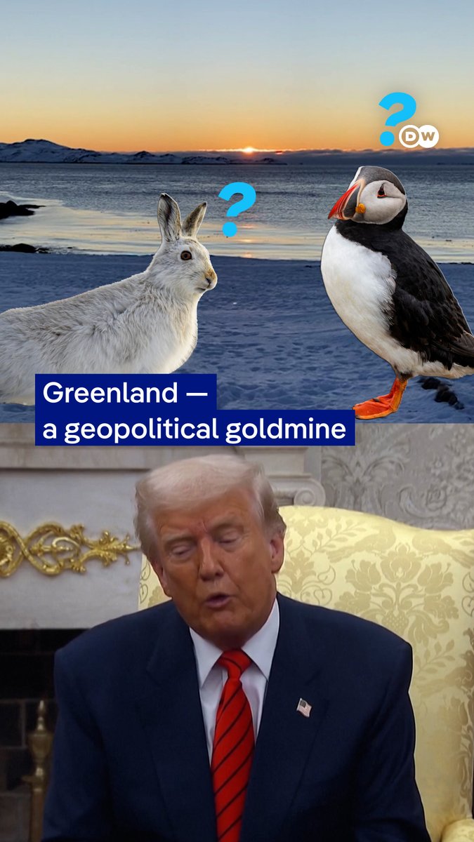 US President Donald Trump says it's not about the minerals... but Greenland's resources could reshape global power. Here's why the world's biggest island is a geopolitical goldmine. #dwbusiness