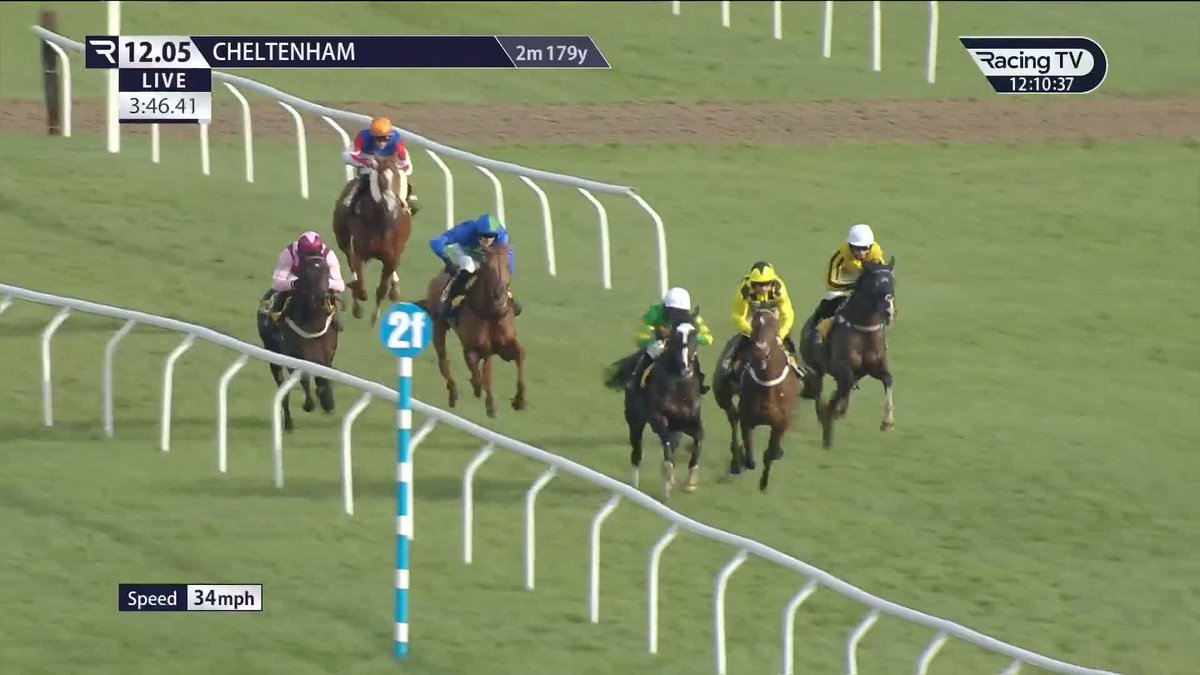 ⚫️🟡 Nicky Henderson confirms SIR GINO will head to the Unibet Hurdle at Cheltenham on the 24th to take on THE NEW LION over 2m1f. 😍 The Champion Hurdle picture will be very clear after this fascinating battle in two weeks time, bring it on people.