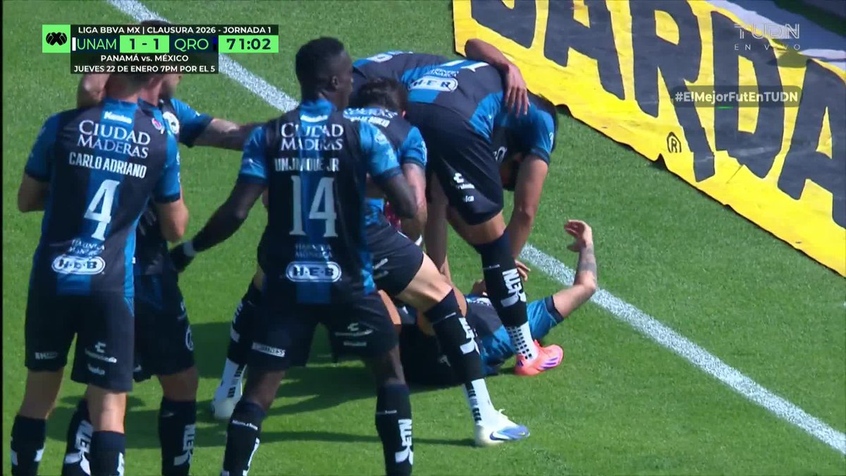 Pumas en su hogar 😹