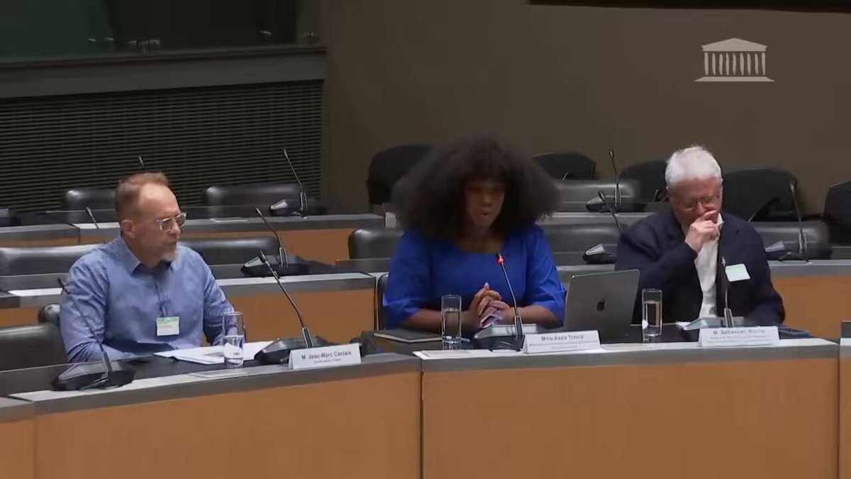 Invitée par LFI à l’Assemblée nationale, Assa Traoré : - dénonce un "racisme institutionnel" et "systémique" dans la police, construit "depuis l’esclavage et la colonisation" - appelle à une "police propre" Il n'y a pas de violences systémiques : notre police est respectable !