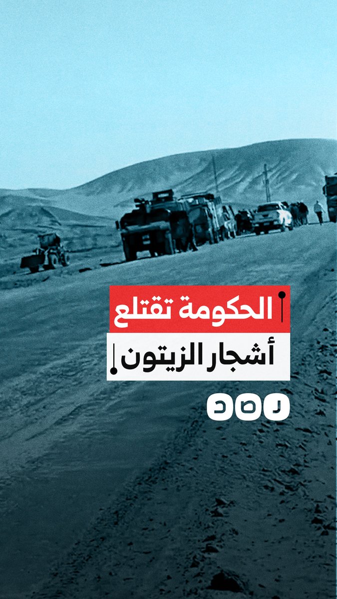 وزارة الداخلية تقتلع أشجار الزيتون من أراضي بعض المزارعين في سمالوط بالمنيا