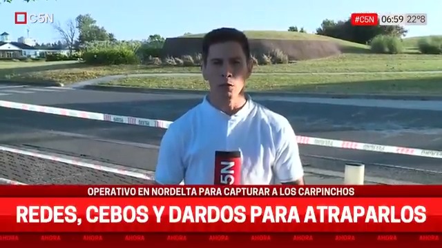 ⚠️ Operativo en Nordelta para capturar a los carpinchos: redes, cebos y dardos para atraparlos 📲 #C5N en vivo: