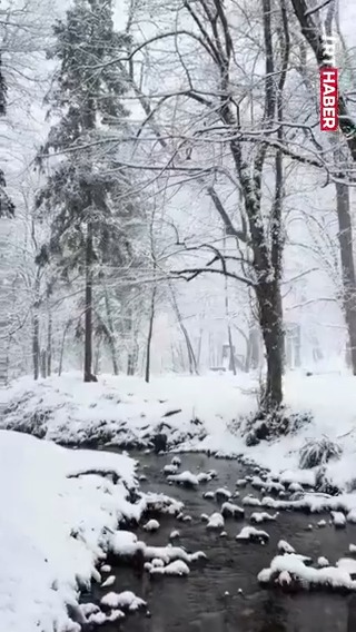 ❄️🌲 Belgrad Ormanı'nda kış... 📍 İstanbul