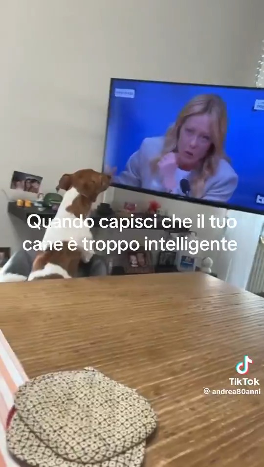 Avevate mai visto un cane comunista?
