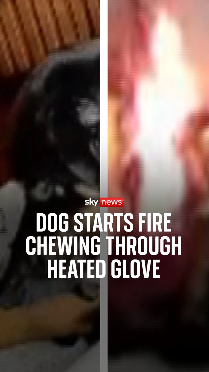 A dog started a fire by chewing through a heated glove powered by a lithium-ion battery. Luckily for the dog and its owner, the blaze was extinguished and the animal was rescued unharmed.