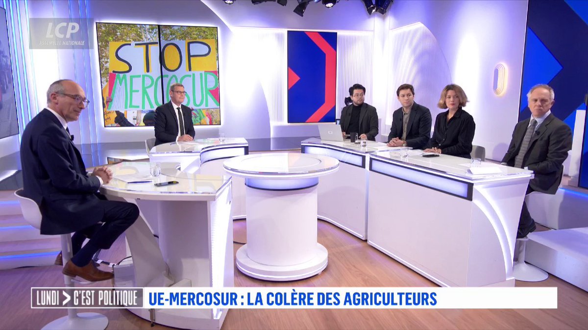 Mercosur : le groupe Horizons sera "évidemment défavorable" aux motions de censure du RN et de LFI, explique Paul CHRISTOPHE. "On a besoin de stabilité pour avancer." #LCPol