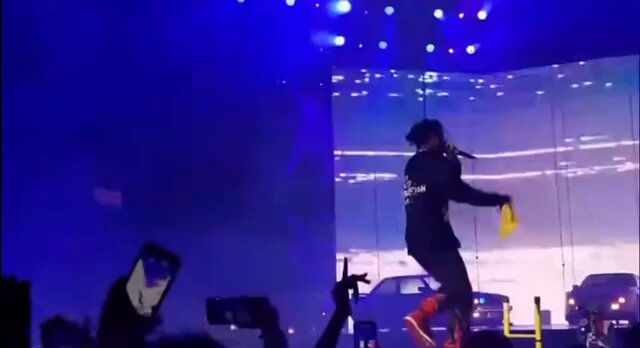 That one time Drake stole Asap Rocky's whole show
