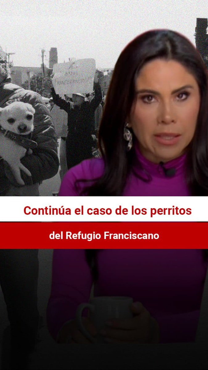 📰📍 La Fiscalía General informó que el predio donde operaba el Refugio Franciscano, en la alcaldía Cuajimalpa, no quedó bajo su resguardo y que el Gobierno de la Ciudad de México no tiene interés en la propiedad del terreno. ⚠️ Colectivos animalistas sostienen una versión distinta y advierten un posible interés inmobiliario. El destino y estado de salud de casi 900 perros sigue bajo seguimiento. #RefugioFranciscano #Cuajimalpa #ProteccionAnimal #CDMX