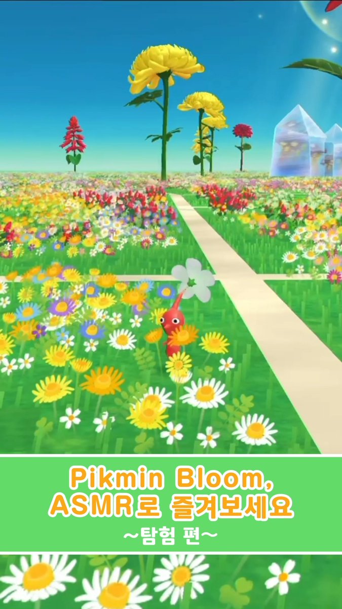 에너지가 넘치는 심부름 길! 🌱 넘어지지 않게 조심해… 👀 무사히 돌아오길 기다릴게요 ✨️👋