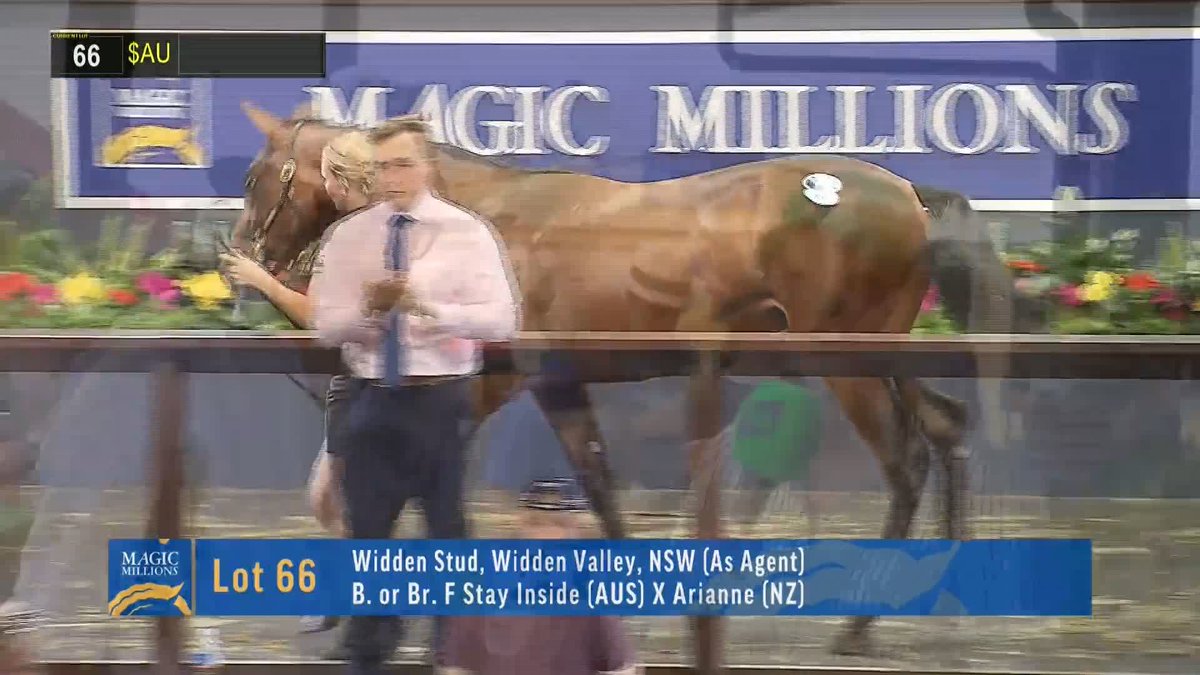 .Kiaarn Dickens chats with Coolmore Australia boss, Tom Magnier Coolmore, after Coolmore purchased the Frankel colt for $2,000,000! 👌