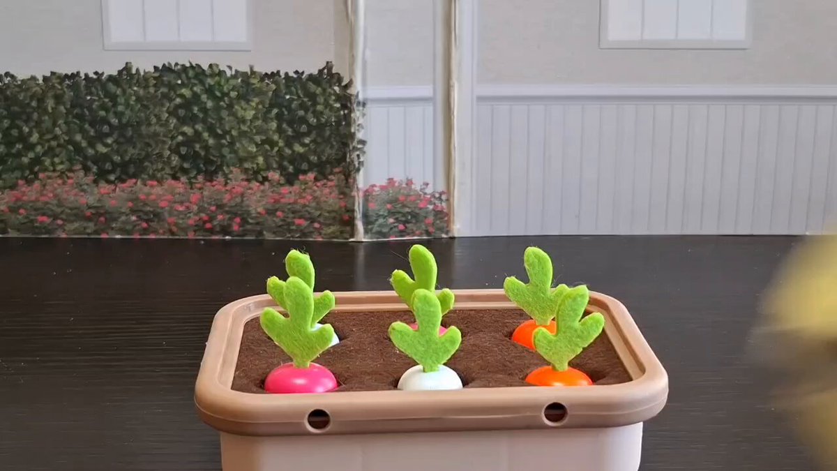 家庭菜園の収穫🐥🥕🫜🐥 久しぶりの新しいおもちゃにふたりとも大喜び✨️引っこ抜くのが楽しいらしく、セッティングしてる時も待ちきれないティアたん😂