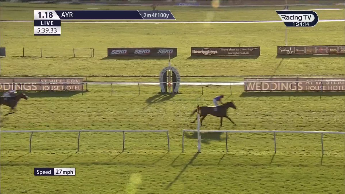 ✅ Dream Shadow strikes at Ayr Racecourse