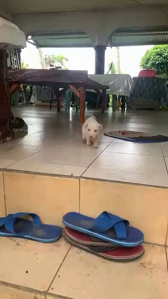 em câmera lenta