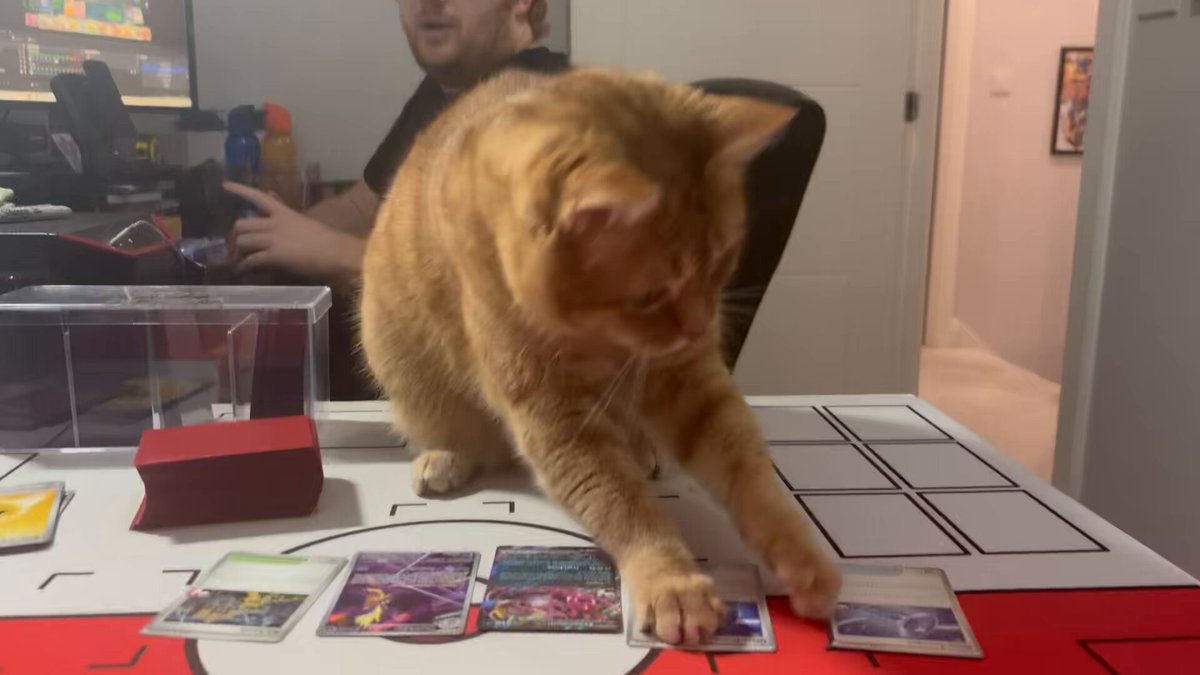 Mochi has been sequencing than most, instantly going for Fezandipiti So proud