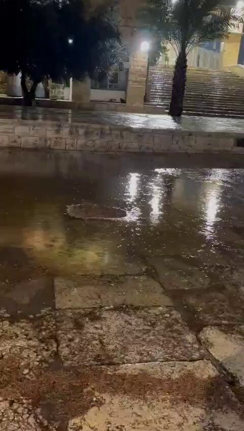 هل سمعتم يوماً صوتاً أندى من أذان الفجر في الأقصى وهو يعانق صوت المطر؟ 😍🌧️ مشهدٌ وثقه أحد المرابطين فجر اليوم.. يبعثُ في النفس سكينةً لا توصف #المسجد_الأقصى