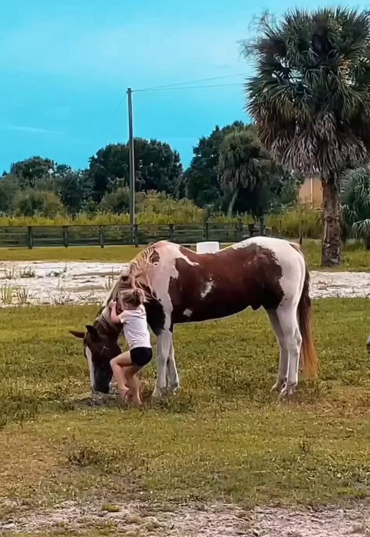 When you develop a bond with a horse they support you completely. Love does conquer all. 🙏🕊️❤️🐴
