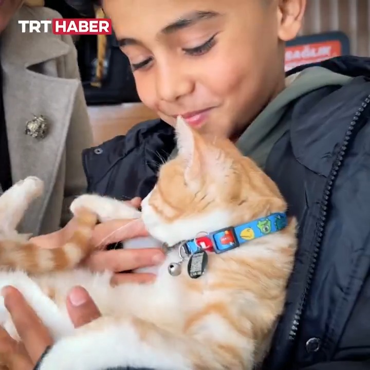 Antalya'da 10 yaşındaki bir çocuk, ölmek üzere olan kediyi kalp masajıyla hayata döndürdü.