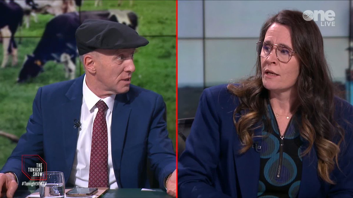 We're all here for the Healy-Rae vs Gibney ding-dong. One observation though. I think Ginbey has been on more current affairs programmes than any other current Dáil TD. That's the kinda statistic that backfires in a constituency.