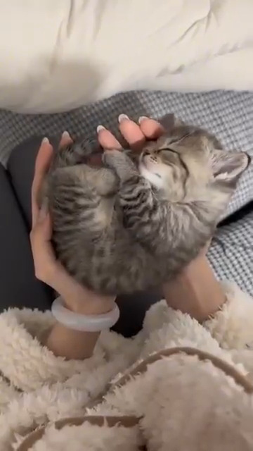 So cute and little baby 😽❤️