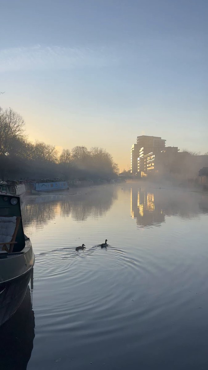 Mornin’. The view from my deck this morning. Mist rising above the river with the sun just appearing through the trees, as ducks swim by. Really rather pleasant.