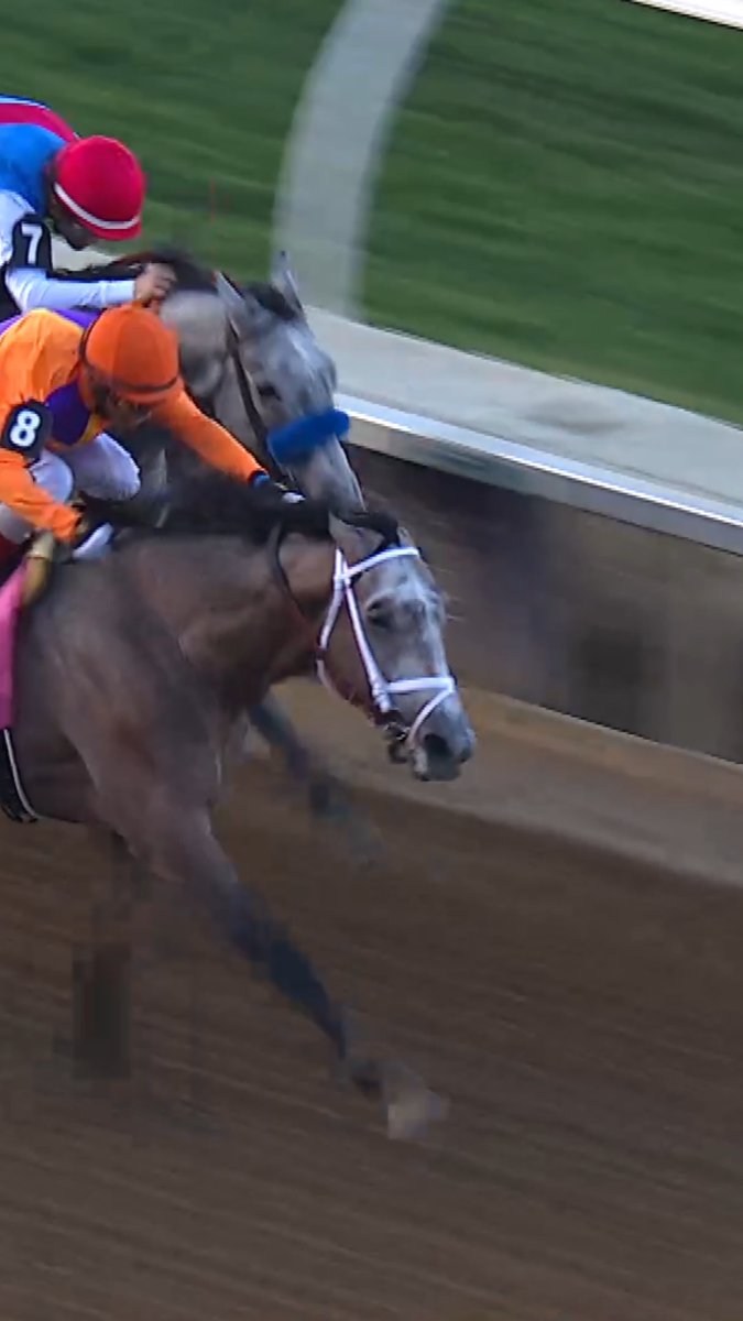 Ted Noffey remains at the top of the 2026 Kentucky Derby Leaderboard after his impressive #BC25 Juvenile win. Is he your Kentucky Derby pick? 🌹