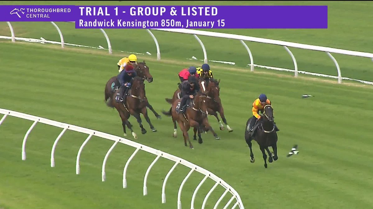 Shangri La Boy returns with a strong trial holding off a fast finishing Apocalyptic! 👏 Gai Waterhouse AO Tim Clark