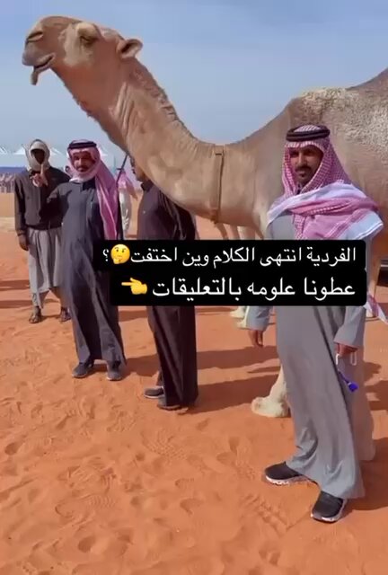اكتبولي اسباب اختفاء ناعسة الطرف مشوقه الجماهير