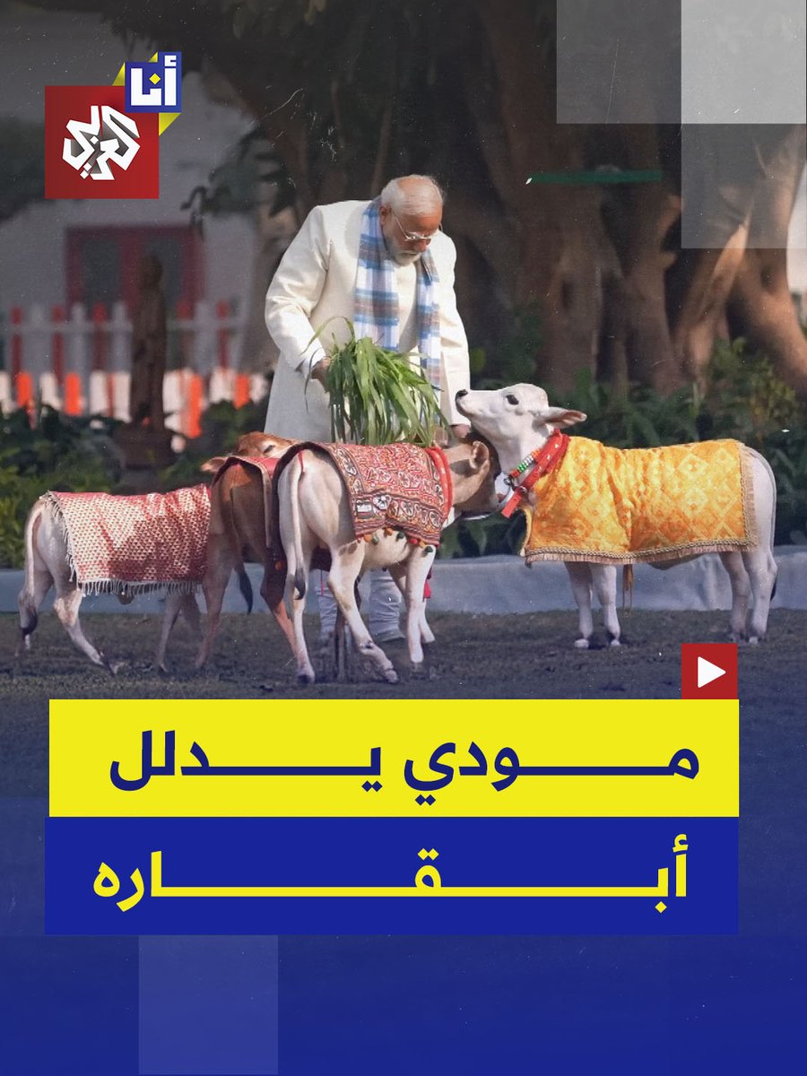 رئيس وزراء الهند يدلل ويطعم أبقاره في مقر إقامته وينحني احترامًا لها..ضمن مناسبة تعد مقدسة وفقا للهندوس