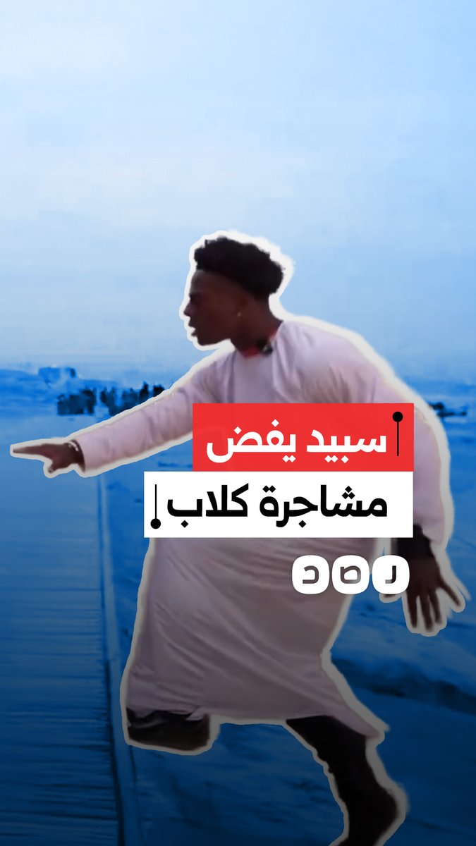 اليوتيوبر العالمي سبيد يتدخل لفض مشاجرة بين الكلاب أمام أهرامات الجيزة أثناء ترويجه للسياحة في مصر