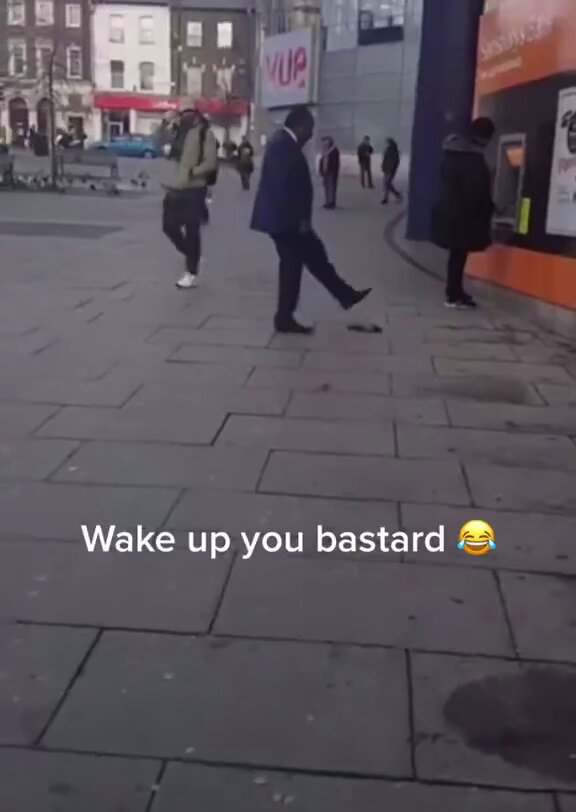 🇬🇧 Meanwhile in England “Wake up, wake up you bastard” Recently arrived Veterinary Surgeon tries to revive a dead bird.