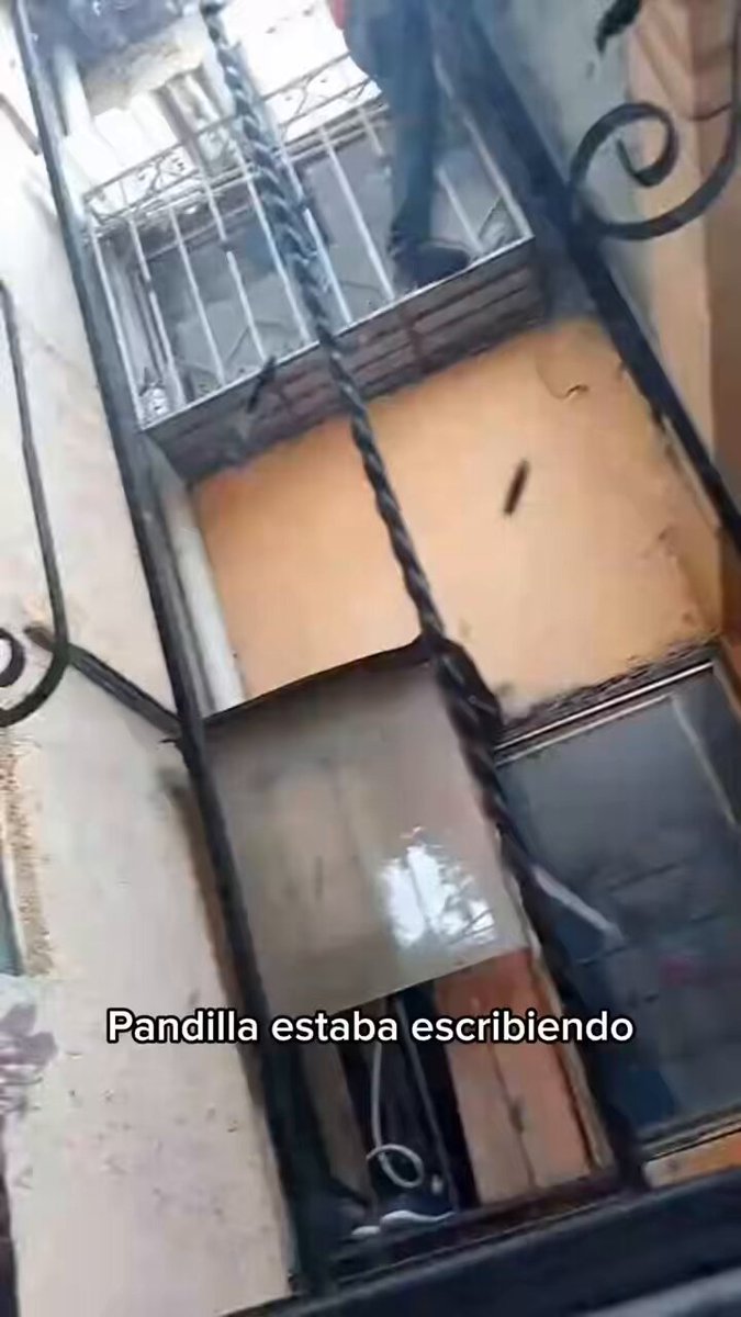 Ánimo delincuencia
