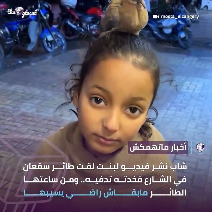 في حالة ماشوفتش حاجة حلوة النهاردة #TheGlocal | #أخبار_ماتهمكش