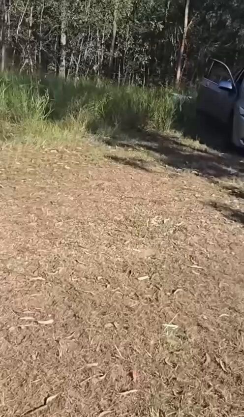 Aussie confronts Asian man for trying to throw a carload of rubbish into the bush. "Australia is not your dumping ground" Follow: The Noticer
