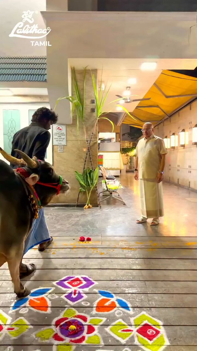அருமையா மாட்டு பொங்கல் கொண்டாடிய லலிதா ஜூவல்லரி ஓனர் 😍🐮🐄