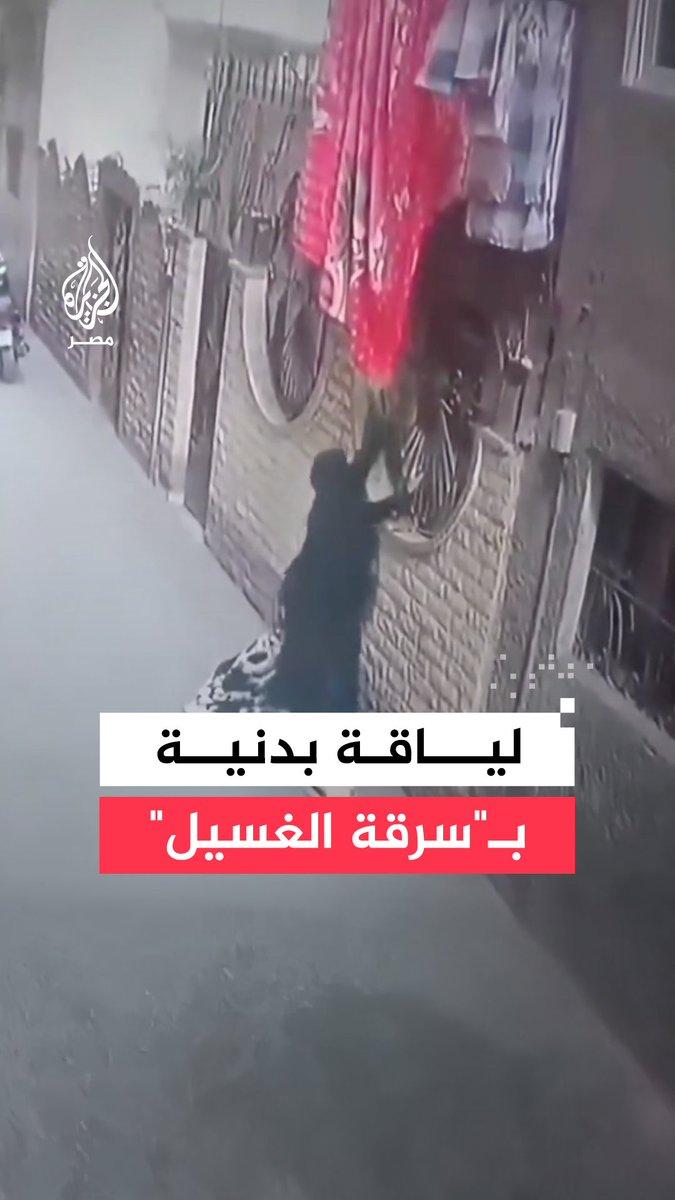 مقطع متداول لسيدة تتسلق جدارًا لسرقة مفروشات بمنطقة عزبة النخل وسط تحذيرات من تكرار الواقعة بعدد من المناطق في القاهرة