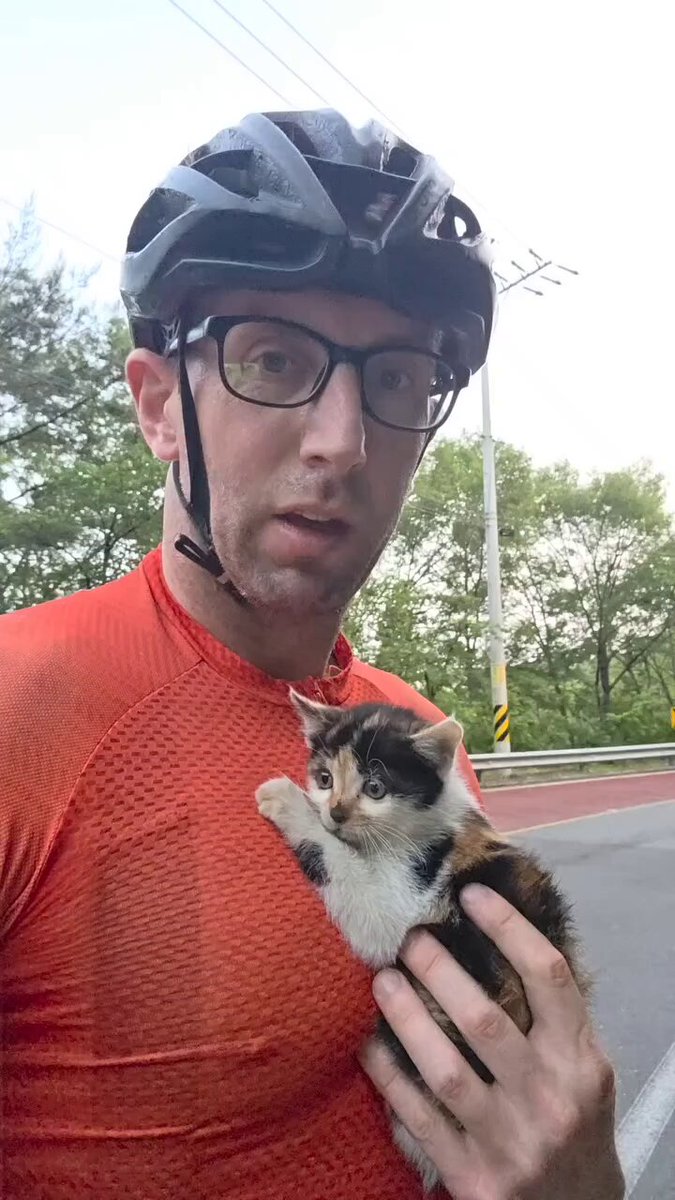 He got adopted by a tiny kitten..🐈🐾😍